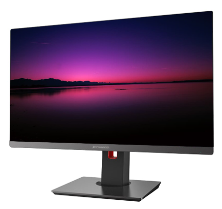 Computador All-In-One 23.8" FHD i5 12400 / 8GB DDR4 / 480 GB SSD + Windows 11 Home - PHOENIX
