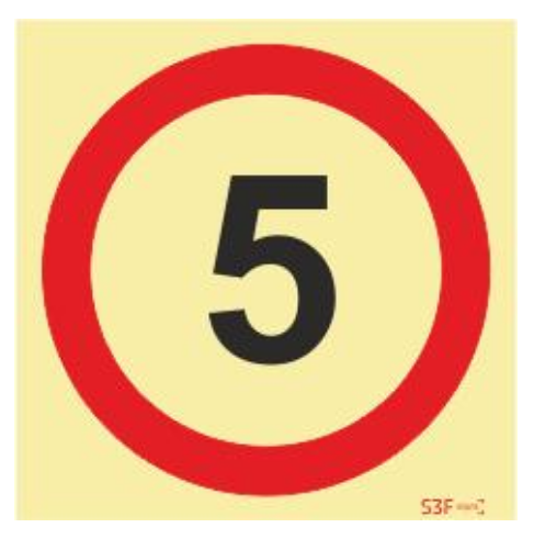 Sinais de Parque de Estacionamento - Fotoluminescente 1F. 200x200mm