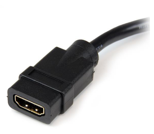 Cabo DVI-D Macho -> HDMI Femea (20cm) - STARTECH