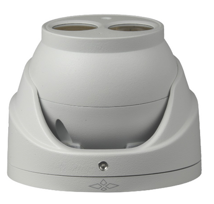 Câmara de Vigilância Dome 2 Megapixel - X-SECURITY