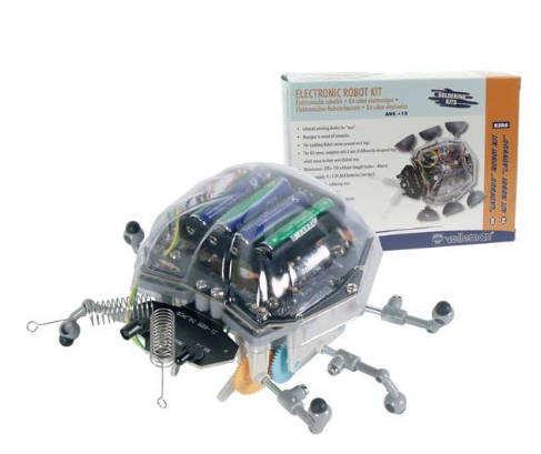 Kit Robot Ladybug (120 x 150 x 85mm)