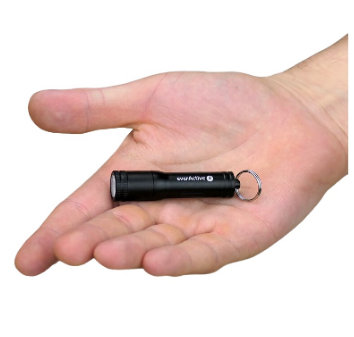 Mini Lanterna LED Porta-Chaves 100Lm (1xAAA) IPX4 - everActive