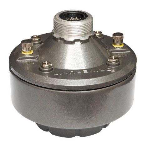 Pinha 60W - WORK M 60