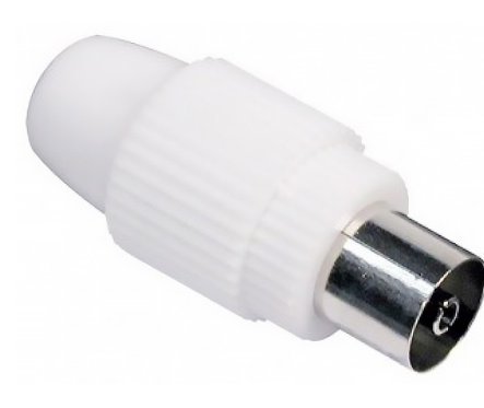 Ficha TV Fêmea Simples