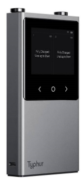 Termómetro Digital Sync Dual c/ Sonda s/ Fios IP67 (Cinzento/Preto) - TYPHUR