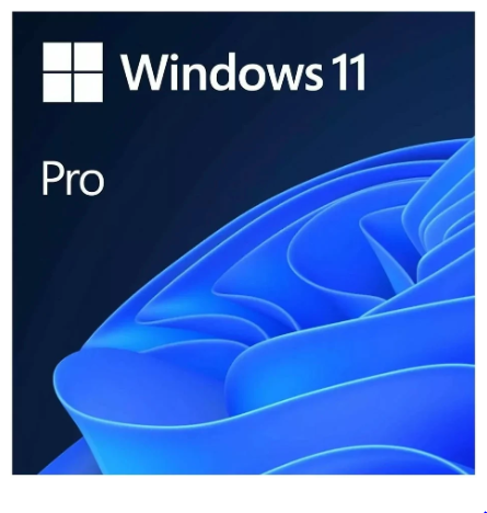 Windows 11 PRO 64Bit PT 1PK DSP OEI DVD - MICROSOFT