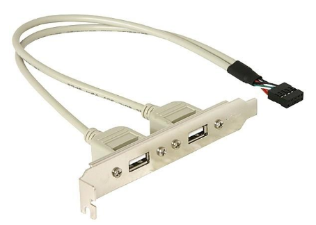 Placa USB Interno 5 Pin - 2x USB A Fêmea - DELOCK
