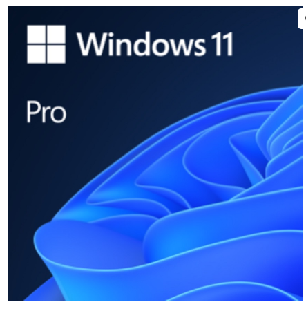 Windows 11 Pro 64Bit Multi-Linguagem (ESD) - MICROSOFT